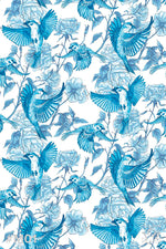 Sparrow skater dress