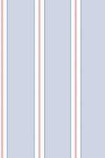 Striped cotton A-line dress with petticoat