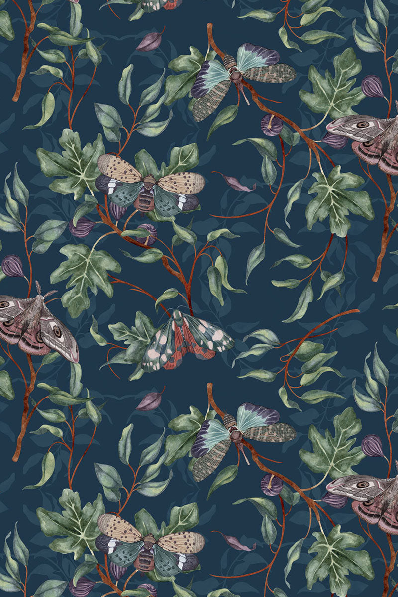 Midi dress with raglan sleeves